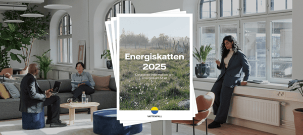 Energiskatten 2025 artikelbild 4