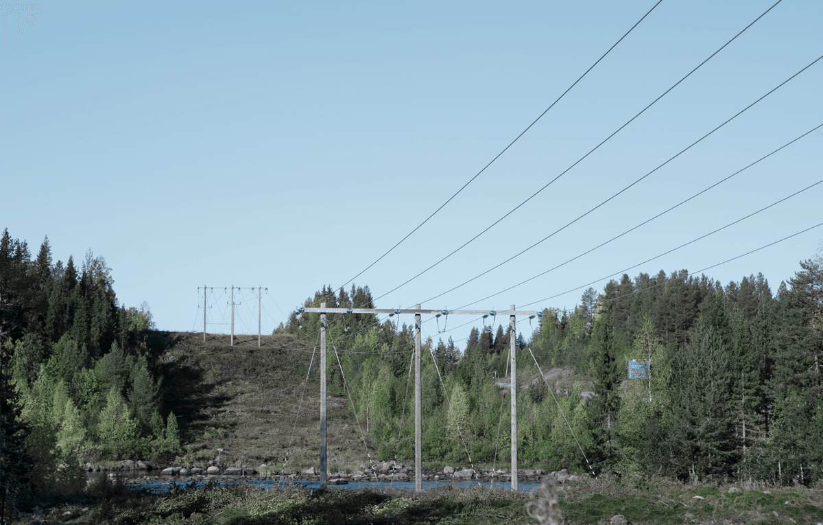 Electricity grid