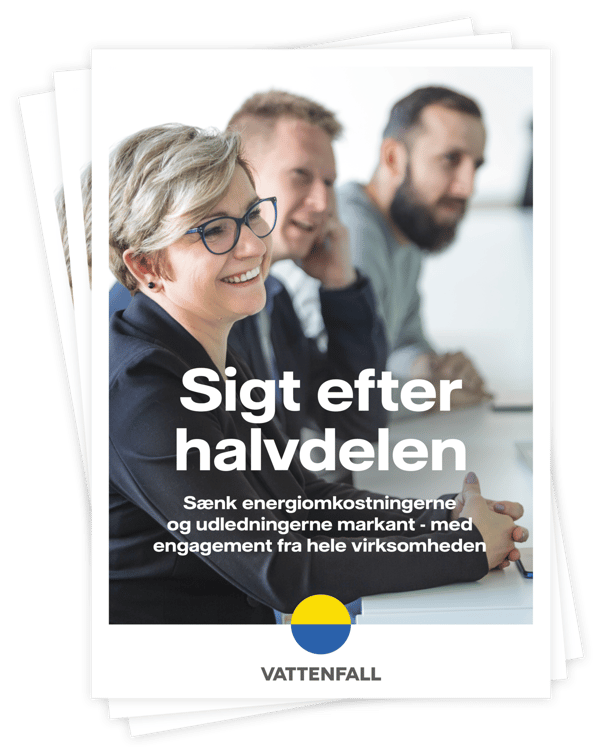 Bæredygtighed og energieffektivisering