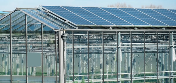 Växthus med solpaneler på