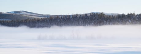 Kallt vinterlandskap